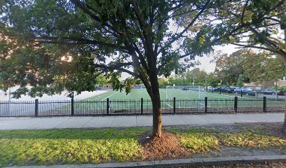 Soccer Field image 1