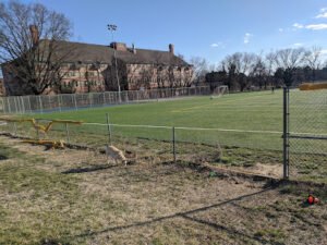 Soccer Field image 1