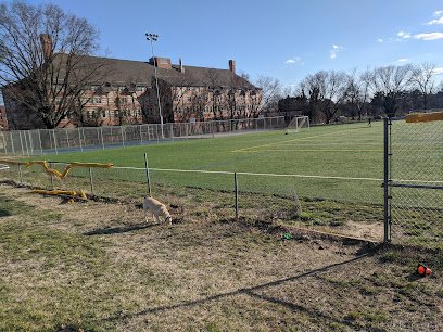Soccer Field image 1