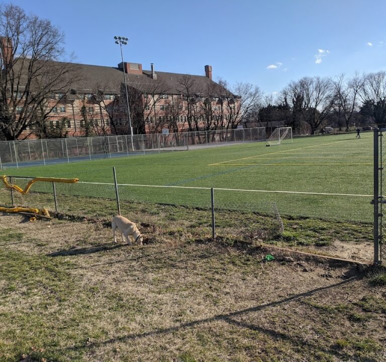 Soccer Field image 2