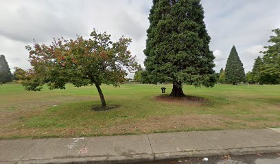Soccer Field image 1