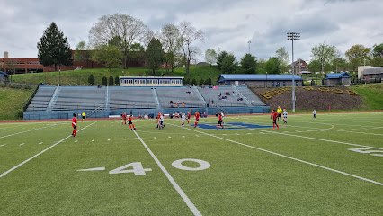 Soccer Field image 1