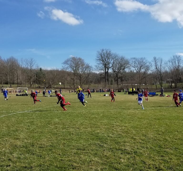 Soccer Field image 2
