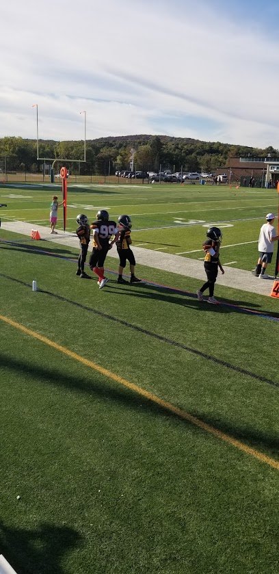 Soccer Field image 1