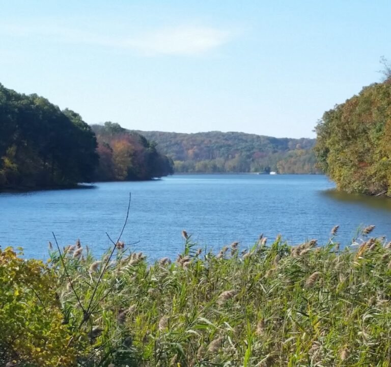 Soccer Field image 2