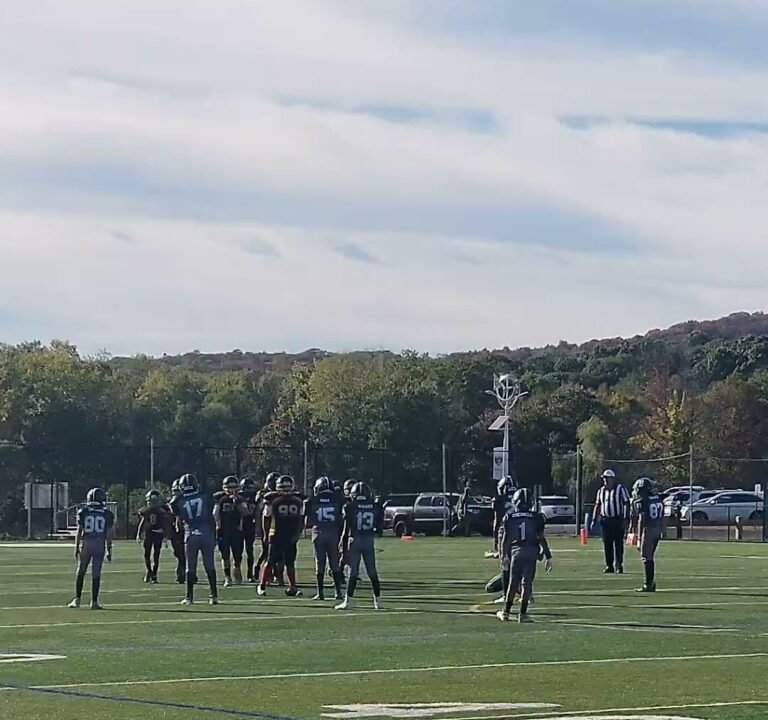 Soccer Field image 2