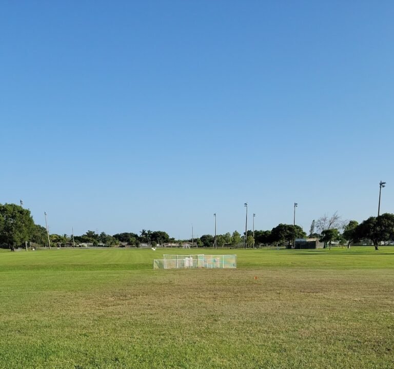 Soccer Field image 2