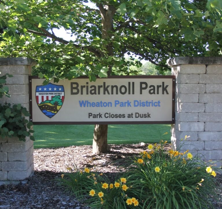 Soccer Field image 3