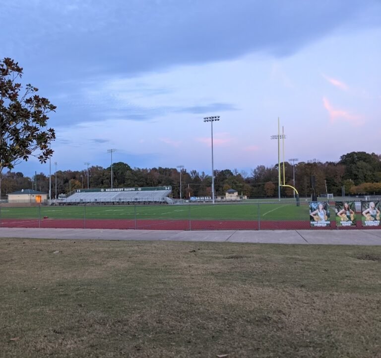 Soccer Field image 2