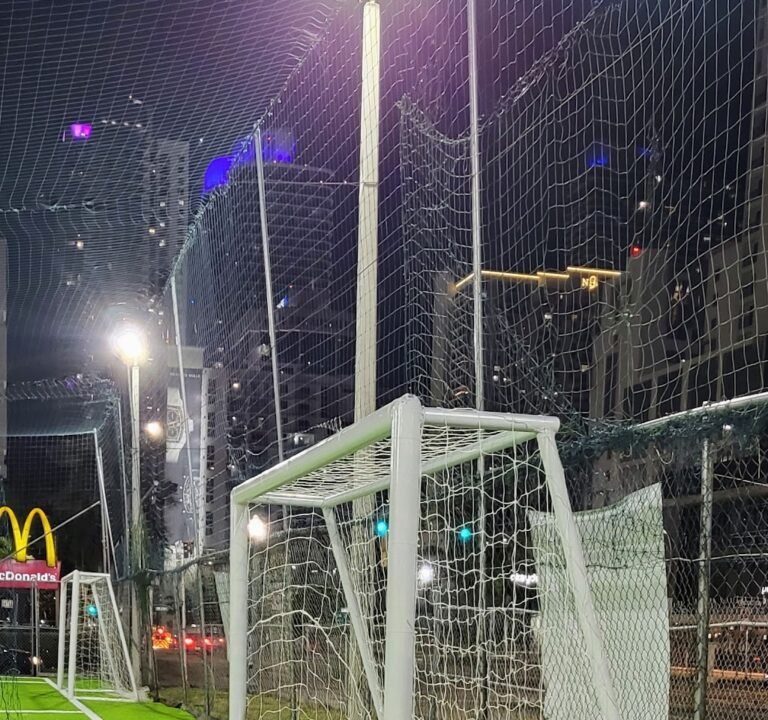 Soccer Field image 2