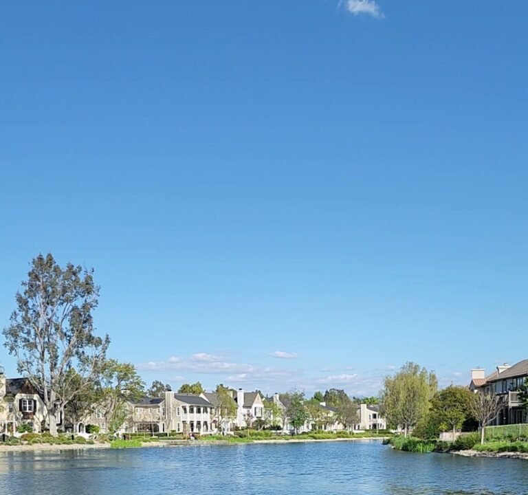 Soccer Field image 4