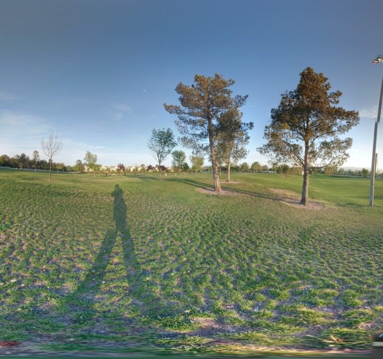 Soccer Field image 3