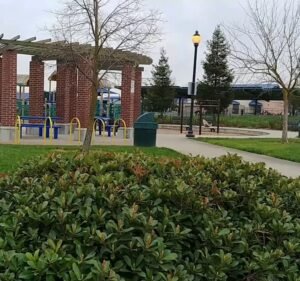 Soccer Field image 2