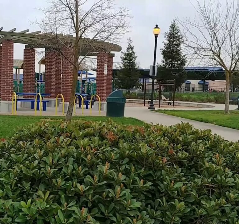 Soccer Field image 2