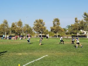 Soccer Field image 1