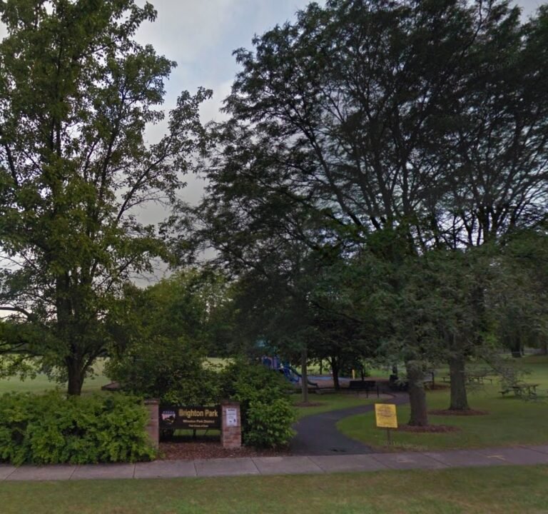 Soccer Field image 3