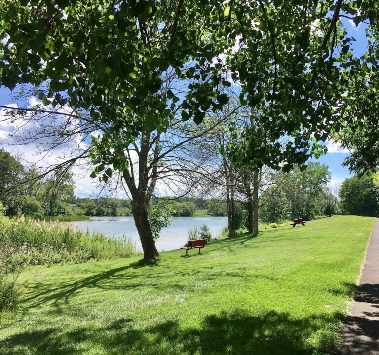 Soccer Field image 2