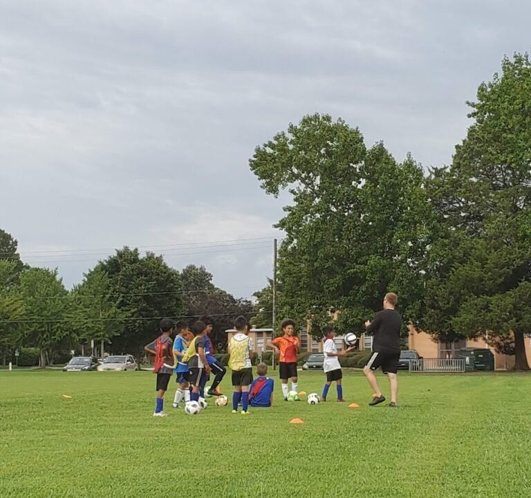 Soccer Field image 2