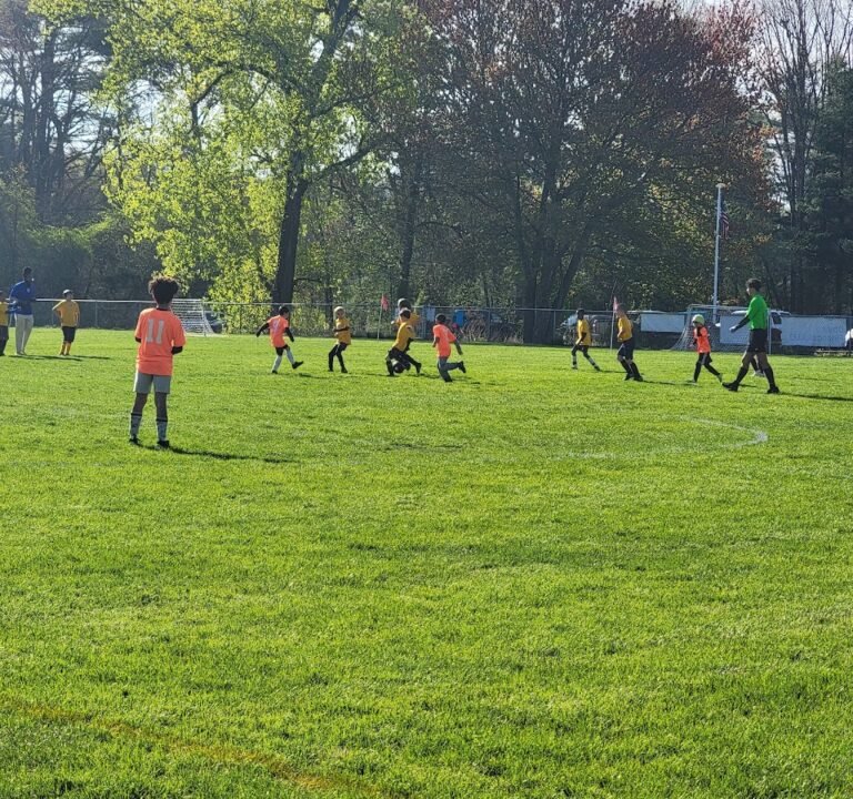 Soccer Field image 2