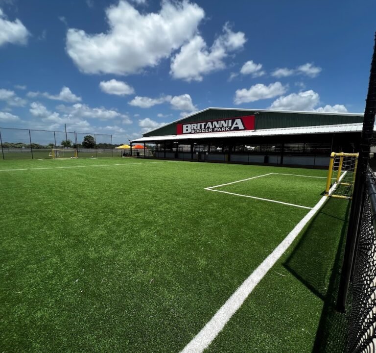 Soccer Field image 2