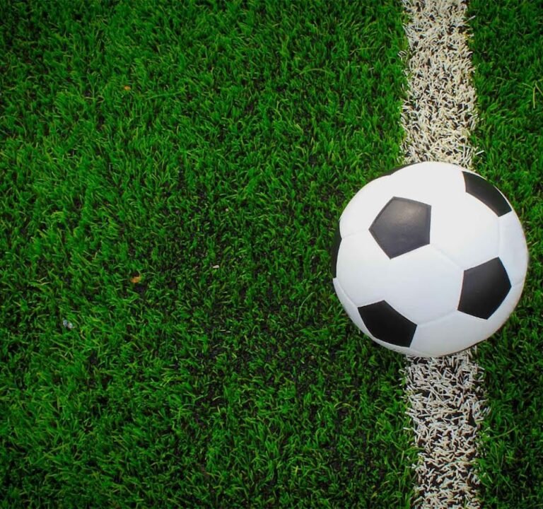 Soccer Field image 3