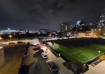 Soccer Field image 1
