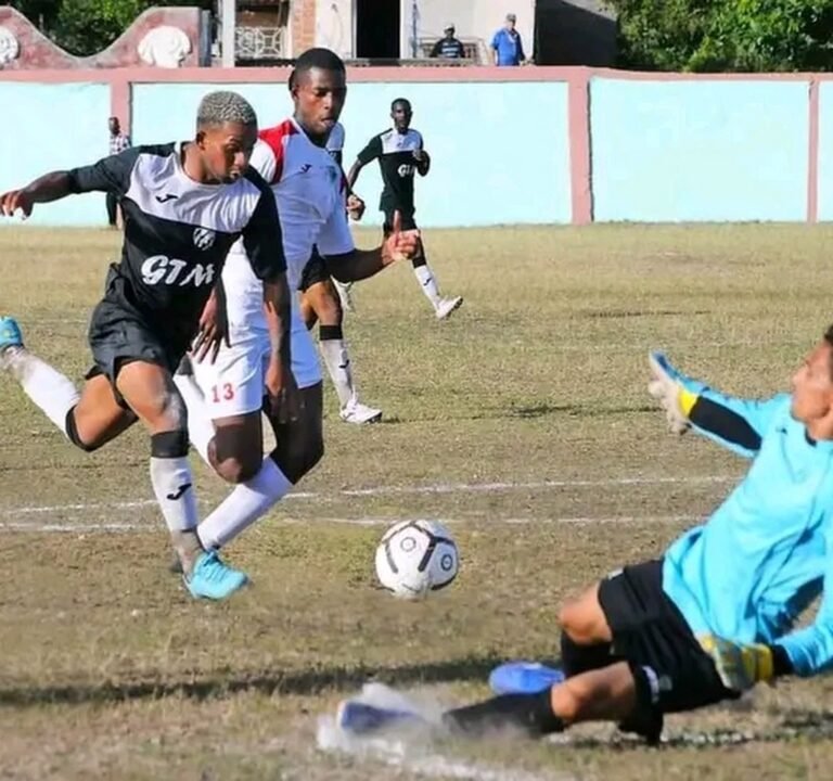 Soccer Field image 3