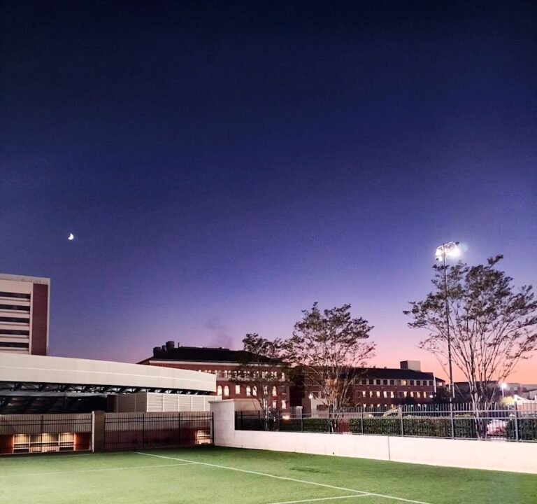 Soccer Field image 2