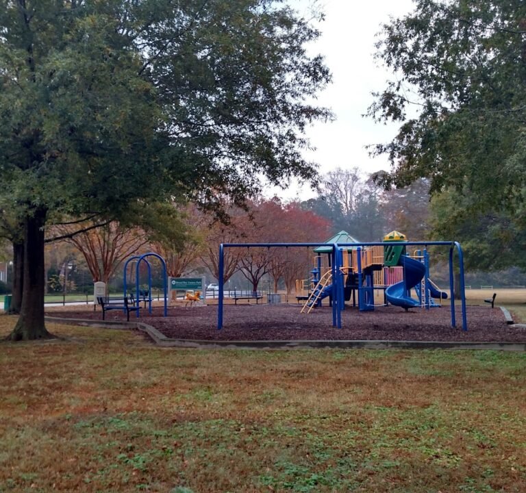 Soccer Field image 2