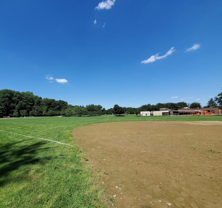 Soccer Field image 2