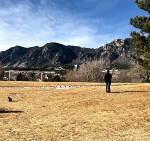 Soccer Field image 3