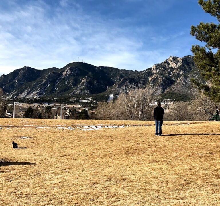 Soccer Field image 3