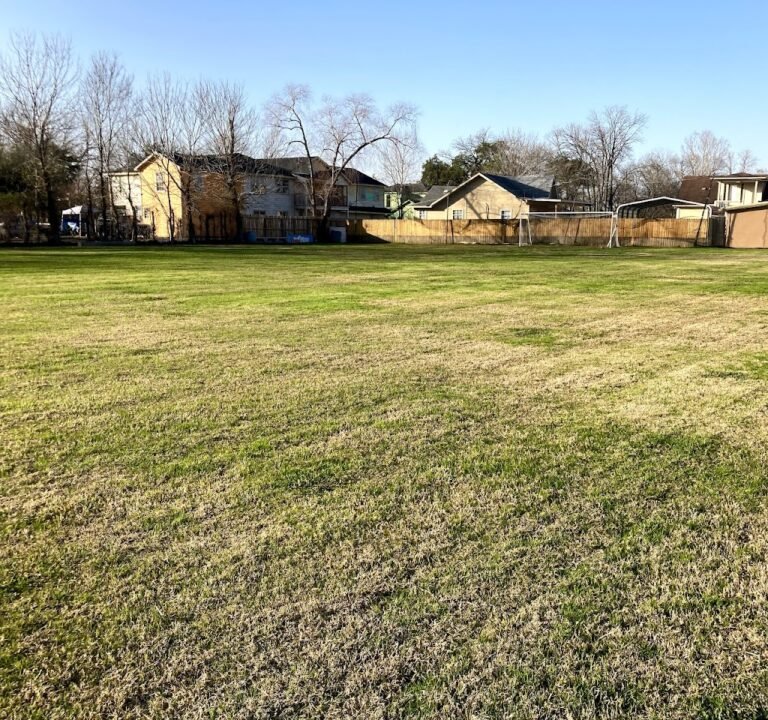 Soccer Field image 2