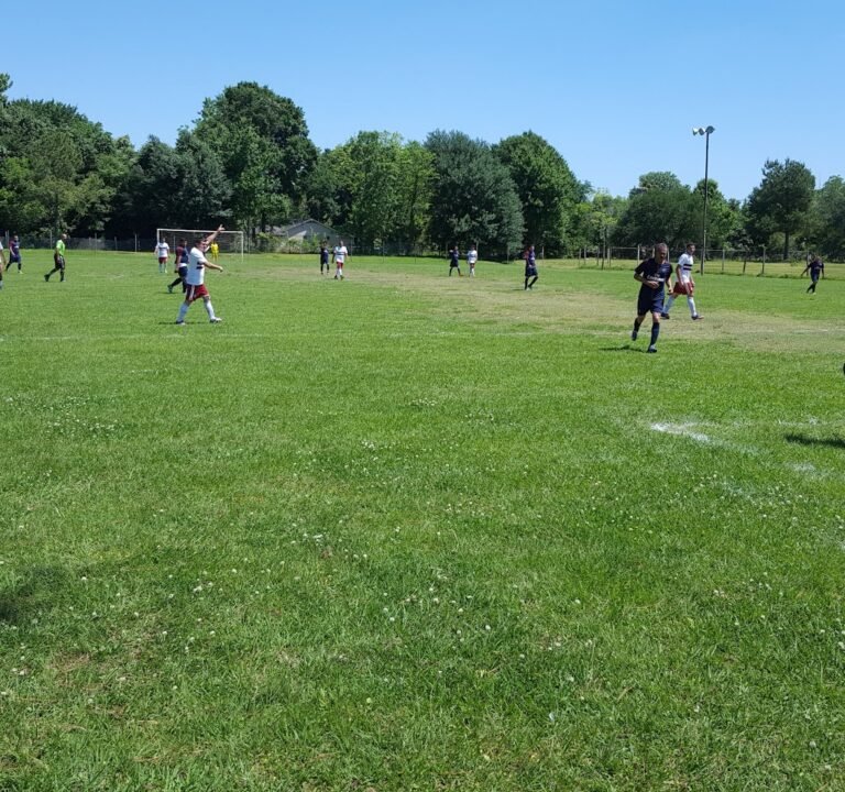 Soccer Field image 3