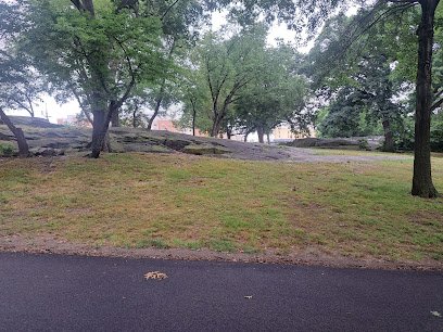 Soccer Field image 1