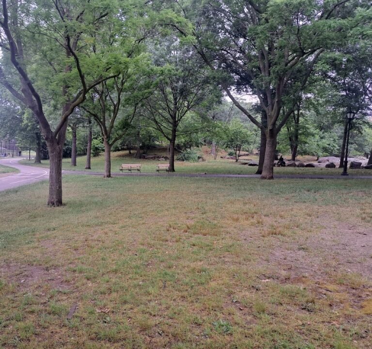 Soccer Field image 3