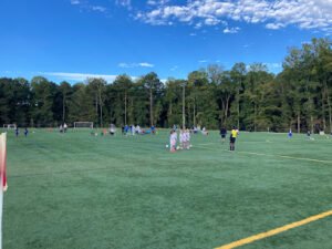 Soccer Field image 1