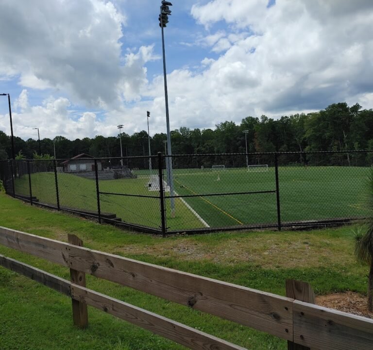 Soccer Field image 2