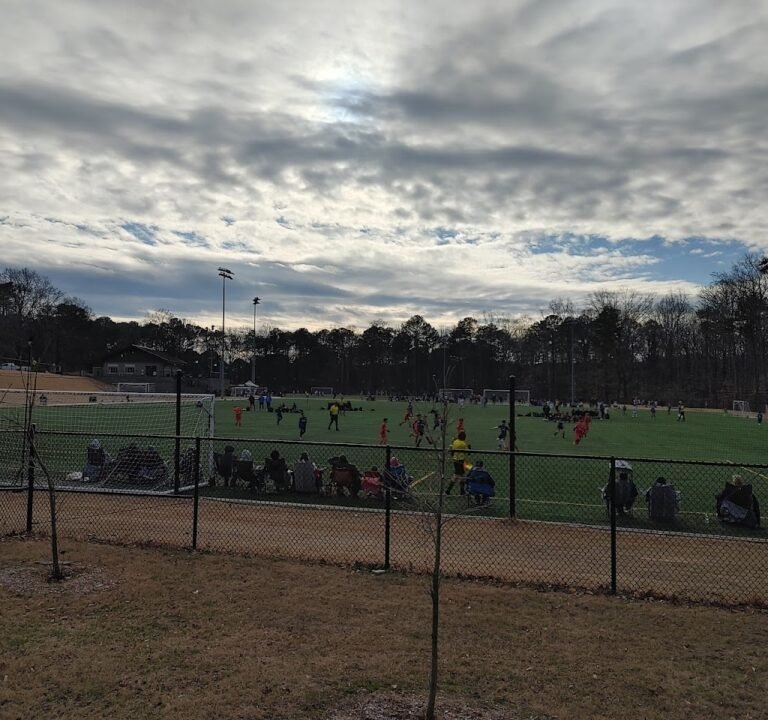 Soccer Field image 3