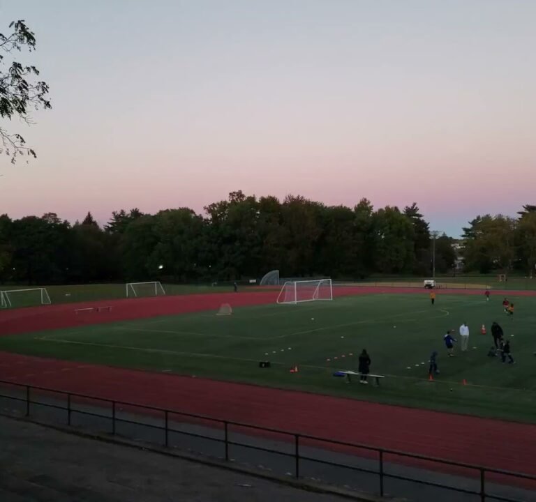 Soccer Field image 3