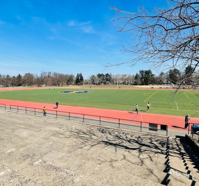 Soccer Field image 2