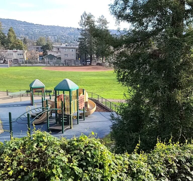 Soccer Field image 4