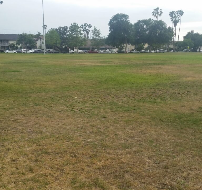 Soccer Field image 2