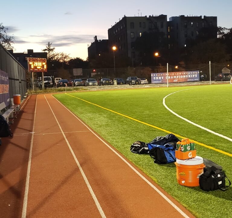 Soccer Field image 2