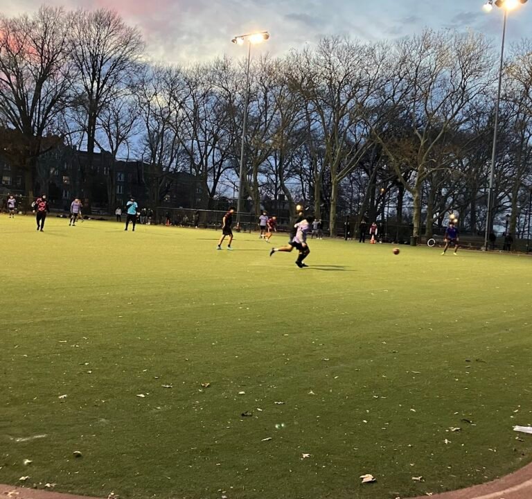 Soccer Field image 2