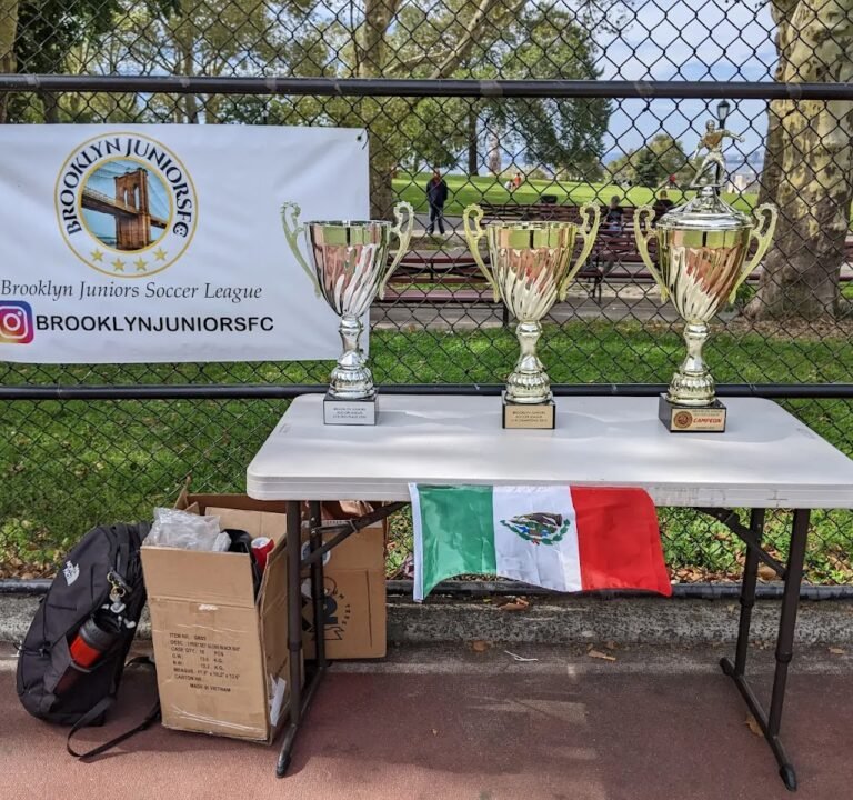 Soccer Field image 4