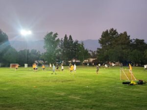 Soccer Field image 1