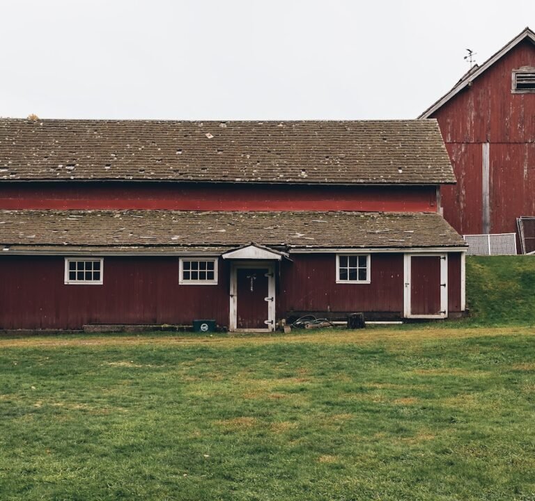 Soccer Field image 2