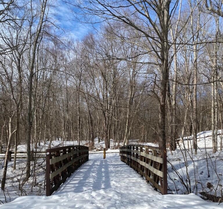Soccer Field image 3