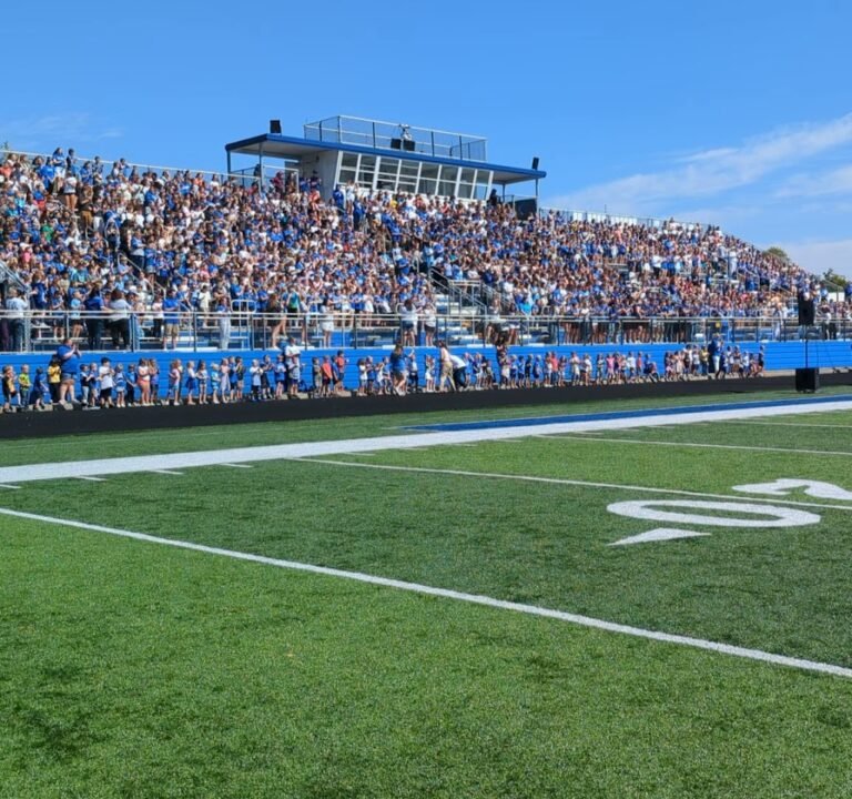 Soccer Field image 3